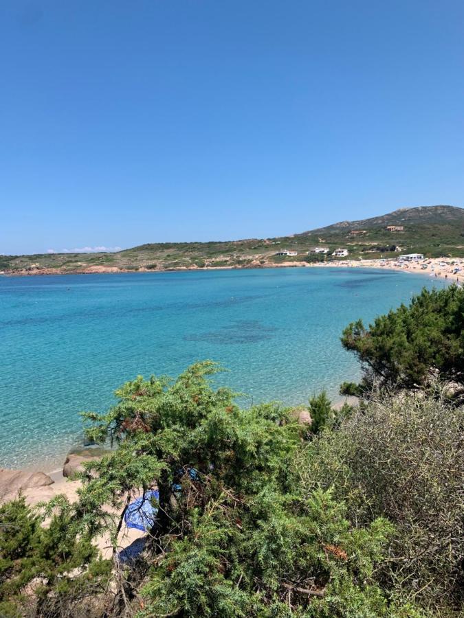 Le Ciliegie: Appartamento Moderno Isola Rossa Dış mekan fotoğraf